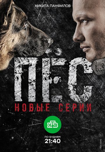 Пёс (2015-2021)