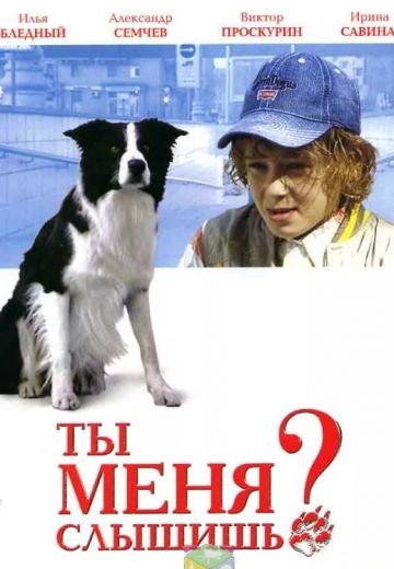 Ты меня слышишь? (2007)