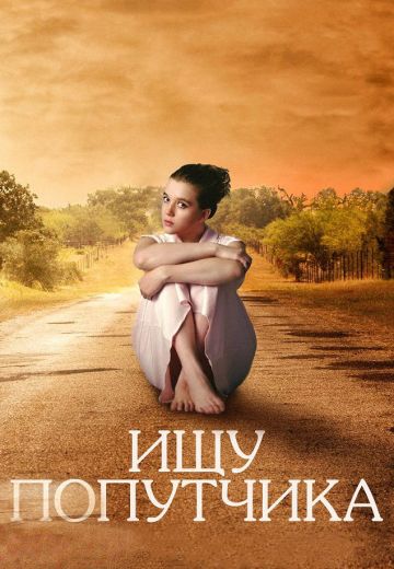 Ищу попутчика (2014)