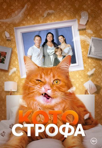 Котострофа (2023-2025)