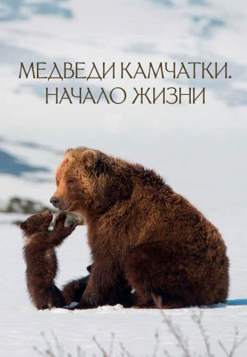 Медведи Камчатки: Начало жизни (2018)