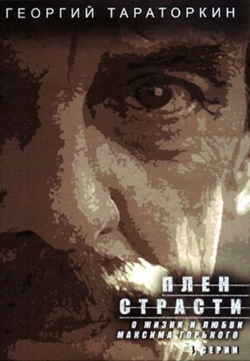 Плен страсти (2010)