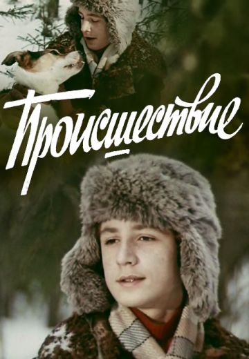 Происшествие (1974)
