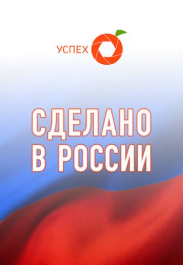 Сделано в России (2016-2024)