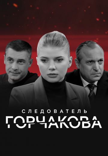 Следователь Горчакова (2019)