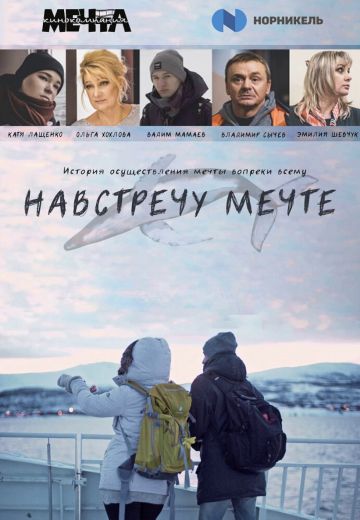 Навстречу мечте (2020)
