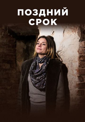 Поздний срок (2019) Поздний срок (2019)