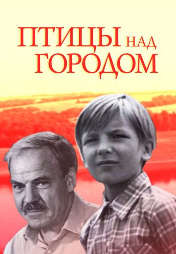 Птицы над городом (1974)