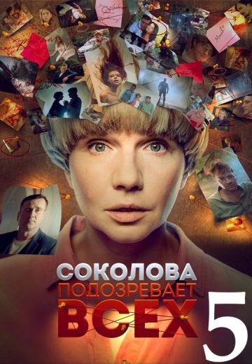 Соколова подозревает всех 5 сезон (2024)