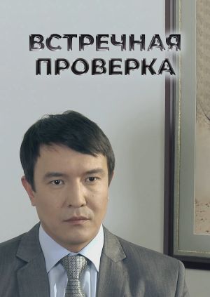 Встречная проверка (2012)