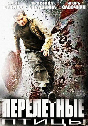 Перелётные птицы (2014) Перелётные птицы (2014)